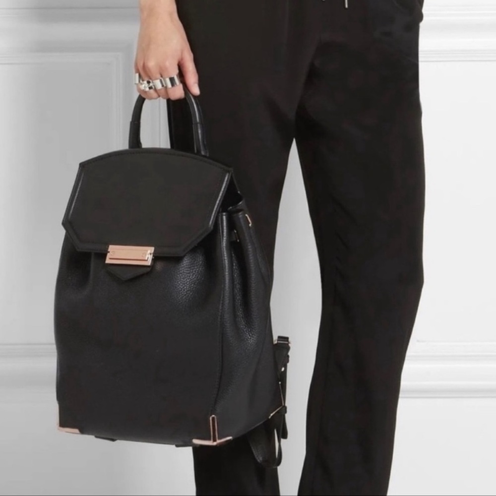 Alexander Wang large Prisma skeletal backpack nickel hardware signs of wear  #2